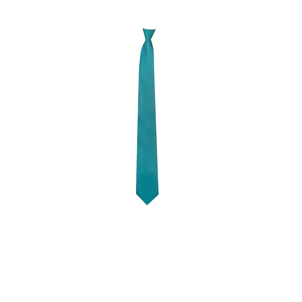 Chokore Light Blue  Silk Tie - Solids line